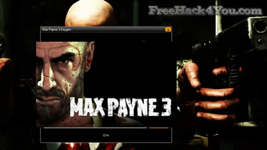 Max Payne 3 Serial Number