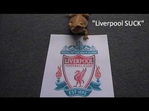 Liverpool Fc Dragon