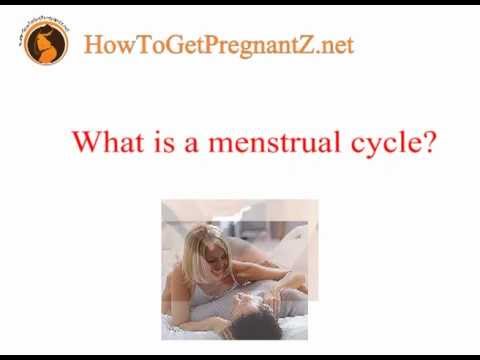 Getting Pregnant During Menses 24