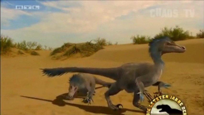 Vor 80 Millionen Jahren 2 Die letzten Jahre der Dinosaurier  Die W\u00fcste Gobi  PopScreen