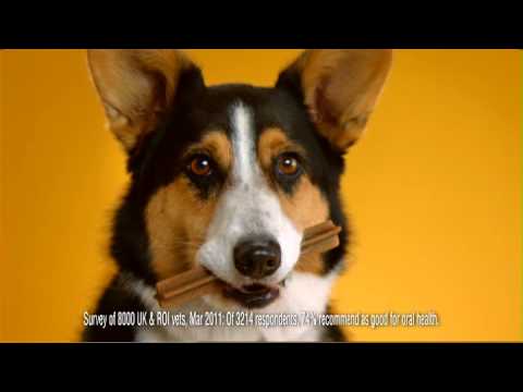 Pedigree Advert Dentastix