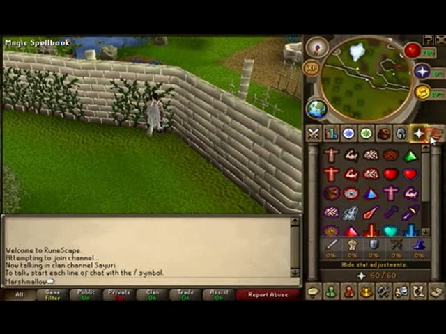 free runescape account level 96 500m bank free runescape account