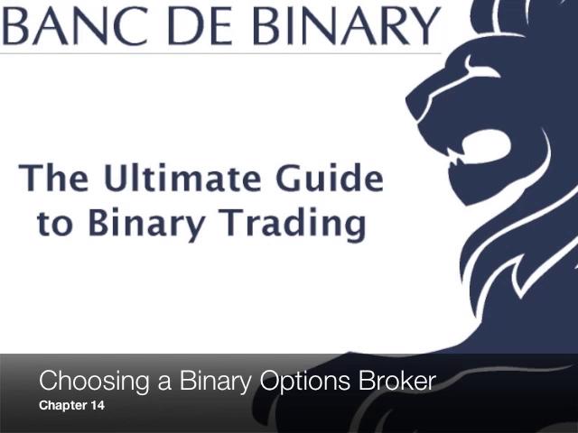 binary option trading stories