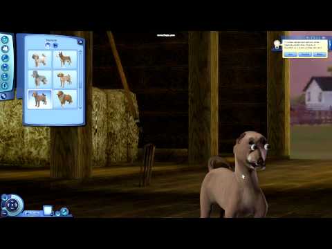 The Sims 3 Funny Pics