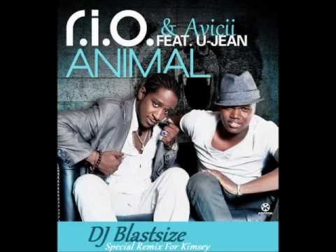 animal dj