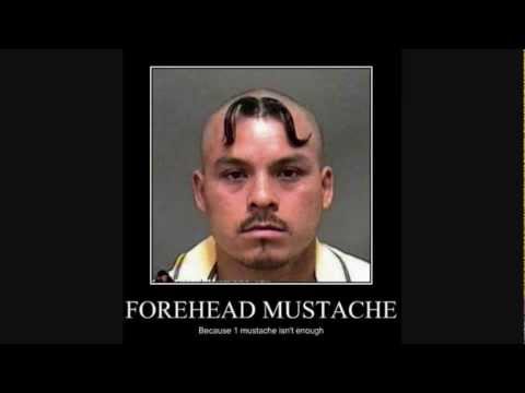 [Image: WlZ3b3BFUDFiOFUx_o_wtf-forehead---funny-pictures-61.jpg]