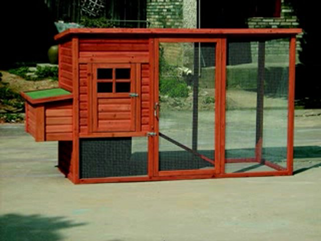 Chicken House Plans For Comfortable Chicken Coops | PopScreen