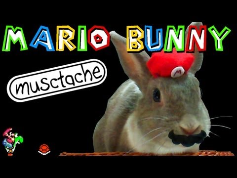 download mario rabbit
